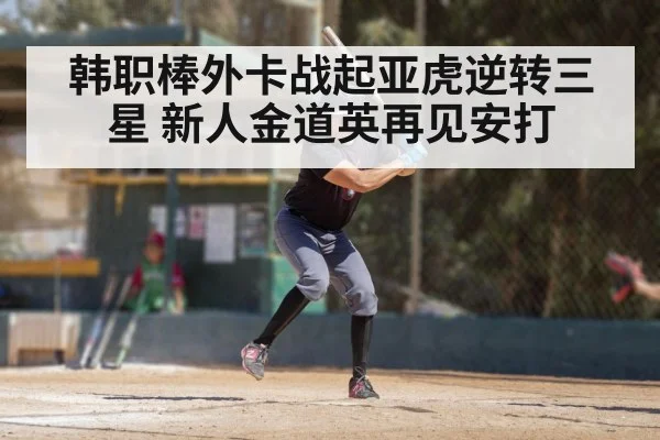 韩职棒外卡战起亚虎逆转三星 新人金道英再见安打